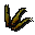 Kelp
