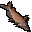 Katzenfisch