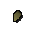 Goldener Drachenfrucht-Samen