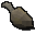 Rohes Obskur-Apoterrasaurus-Fleisch