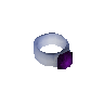 Ring der Vergeltung