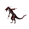 Drachen-Jadinko (ungeprft)