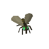 Stinkfliege