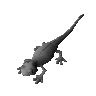 Orange Salamander (ungeprft)