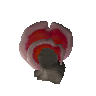 Holzfungus