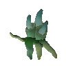 Angereicherte Fungusalgen