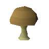 Bitterkappenpilz