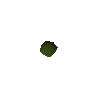 Lwenmaul-Samen