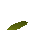 Weidenbaum-Samen