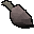 Rohes Okuli-Apoterrasaurus-Fleisch