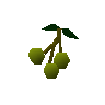 Jangerbeeren