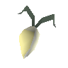 2/3 einer Rüpel-Rübe
