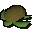 Rohe Schildkrte