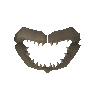 Os de m�choire de requin