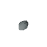 Spore de champuant