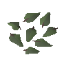 Feuilles