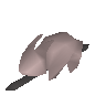 Lapin � la broche