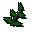 Feuilles d'�qua