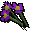 Fleurs violettes