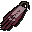 Cape d'�quipe n� 10