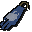 Cape d'�quipe n� 27