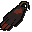 Cape d'�quipe n� 48
