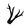Bois de jackalope