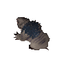 Taupe amovible