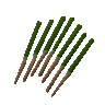 Btonnets d