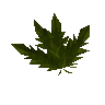Muflier lav