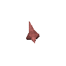 Petit dbris d