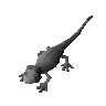 Salamandre verte (non tudie)
