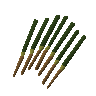 Bâtonnets d