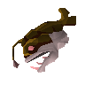 Poisson de roche