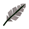 Plume