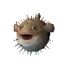 Jeton de poisson-globe