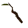 Baguette de dbutant
