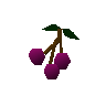 Raisin
