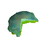 2/3 de méduse mosaïque verte