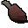 Carne de apoterrassauro oculi