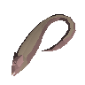 Guaravira