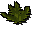 Dragoerva limpa