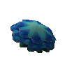 Medusa azul crua
