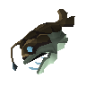 Corvina crua