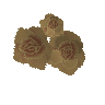 Rosas douradas