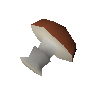 Fungo de Mort Myre
